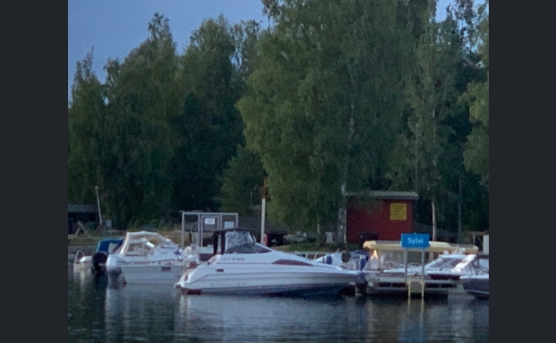 Bayliner 2255 + Traileri-kuva-3